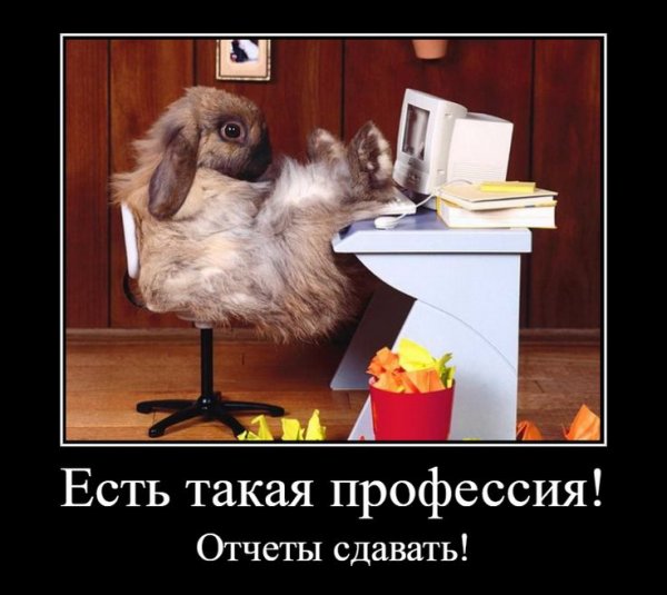 Смешной бухгалтер