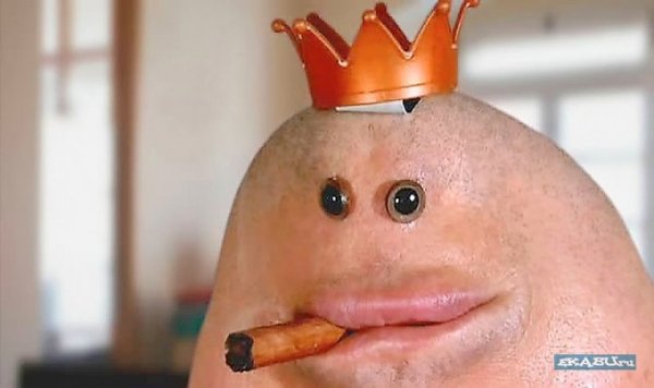 Обезьяна носач