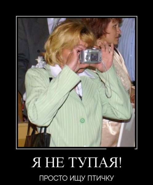 Смешные приколюхи