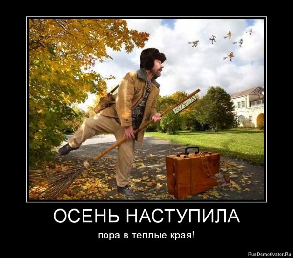 Шутки про осень