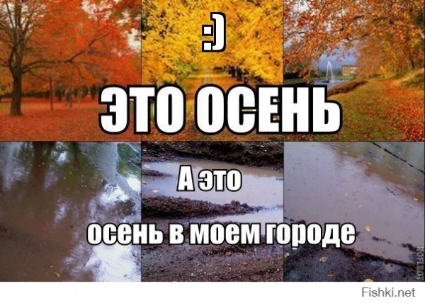 Приколы про осень