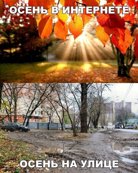 Осенние шутки и приколы
