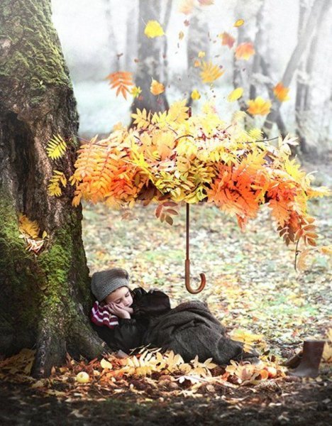 Осенний мотиватор