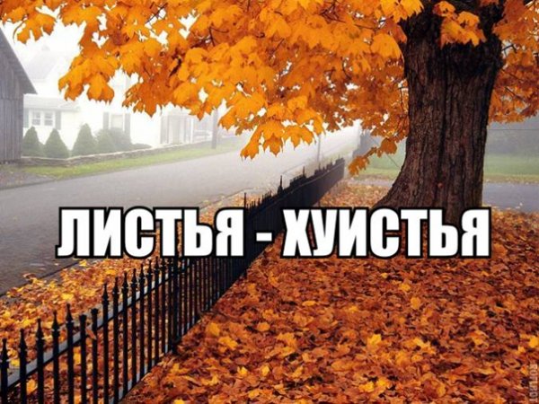 Мемы про осень
