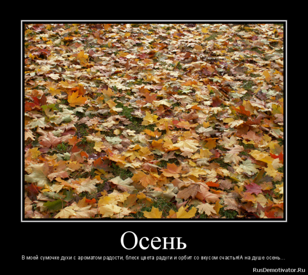 Статусы про осень смешные