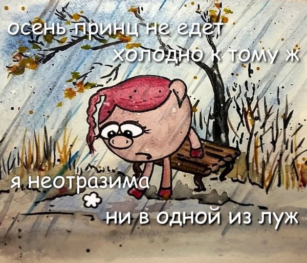 Осенние шутки и приколы