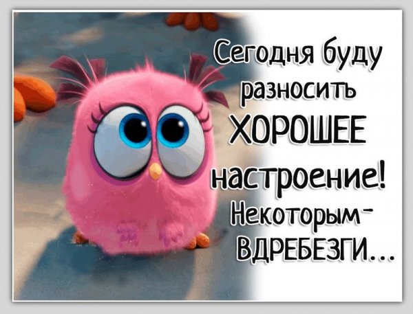 Смешные статусы