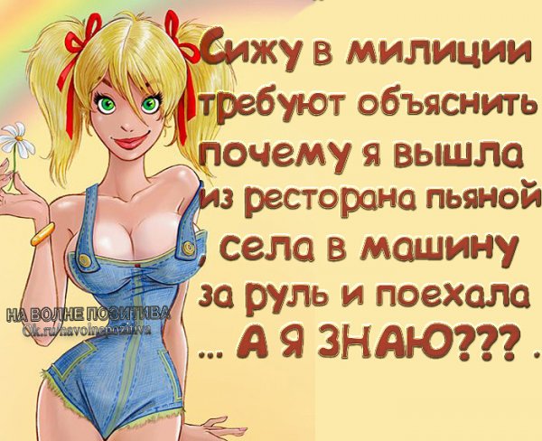 Прикольные статусы в картинках