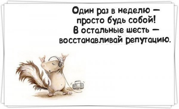 Статусы про себя прикольные