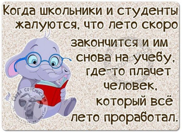 Шуточные статусы в картинках