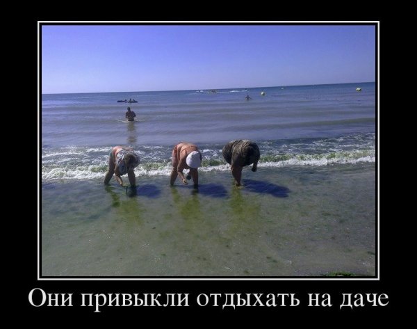 Приколы про море и отпуск