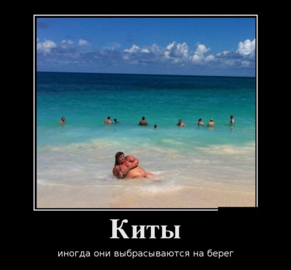 Приколы про море