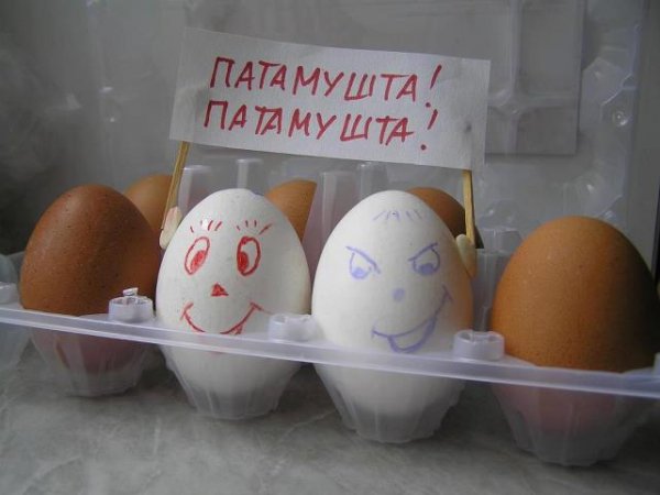 Куриные яйца юмор