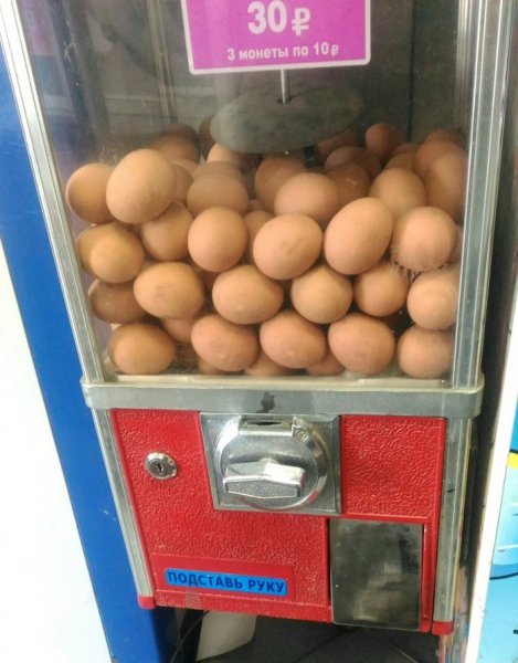 Автоматы с яичками