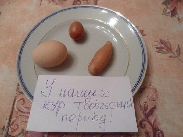 Смешные надписи на яйцах