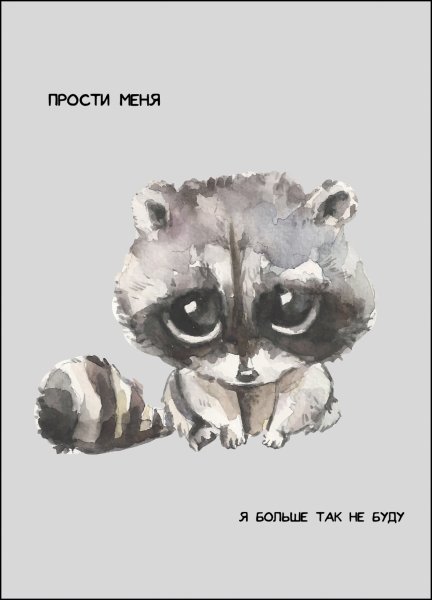 Прости меня енот
