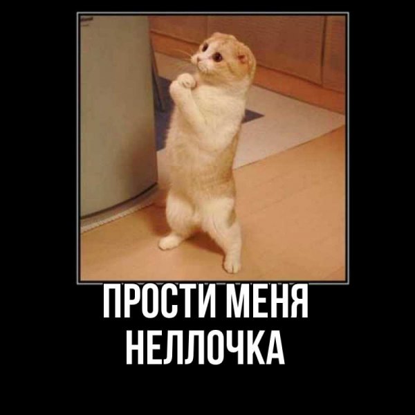 Прости меня дорогая