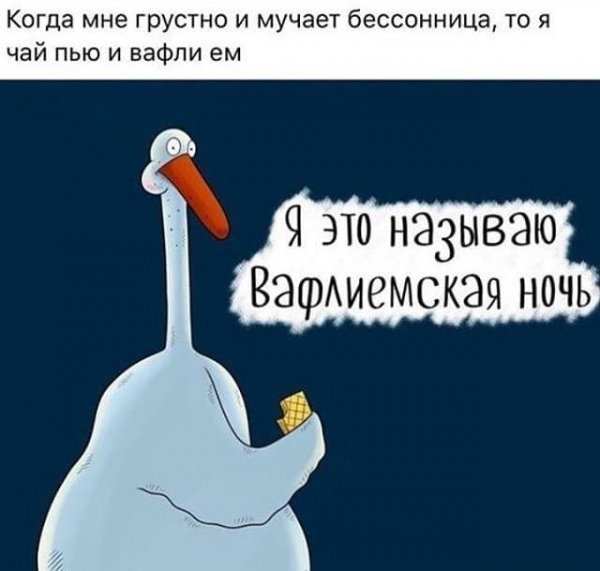 Бессонница приколы