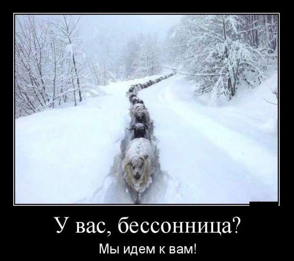 Бессонница приколы