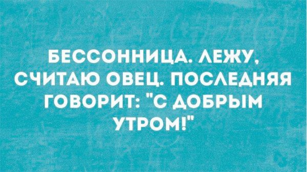 Смешные высказывания про бессонницу