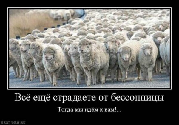 Бессонница юмор