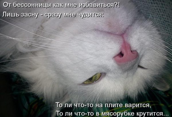 Бессонница статусы