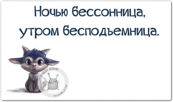 Бессонница статусы