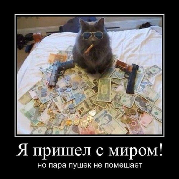 Суровые челябинские коты