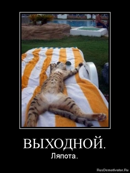 С выходными прикольные