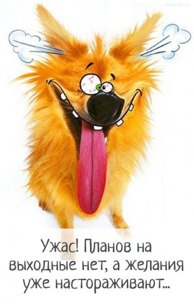 Приколы про выходные