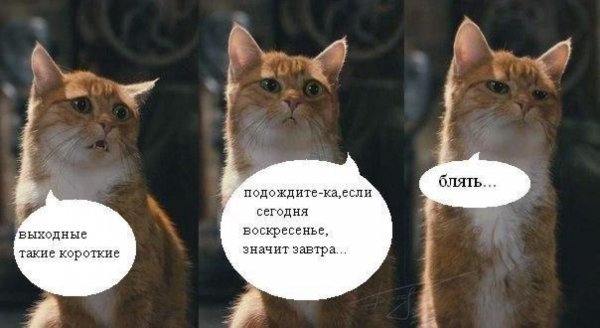 Вечер воскресенья приколы