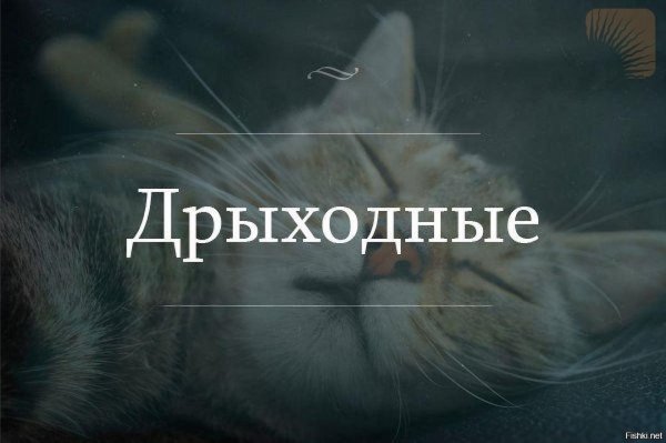 Выходной картинки прикольные смешные с надписью