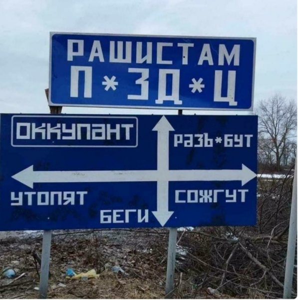 Выходные цитаты смешные