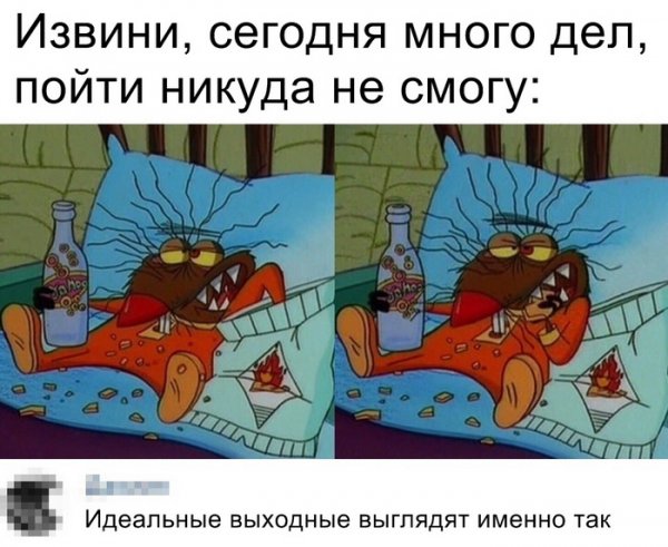 Коротко о том как проходят Мои выходные