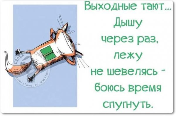 Смешные высказывания про выходные