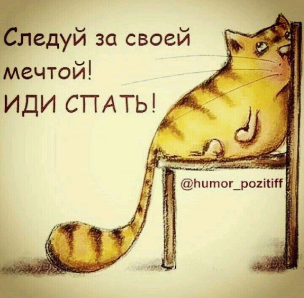 Спать картинки прикольные