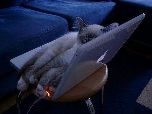 Мотиваторы про сон