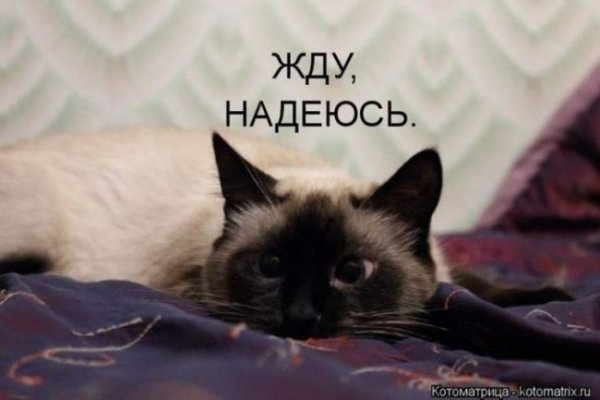 Жду картинки