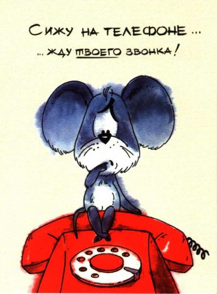 Я жду твоего звонка