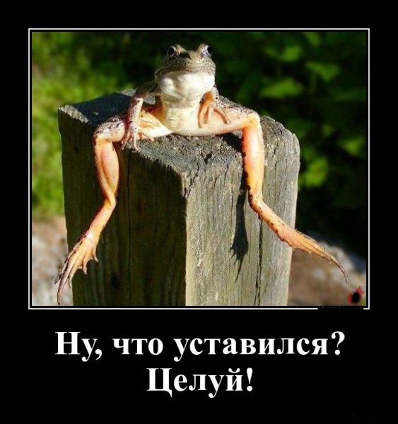 Мотиваторы для поднятия настроения