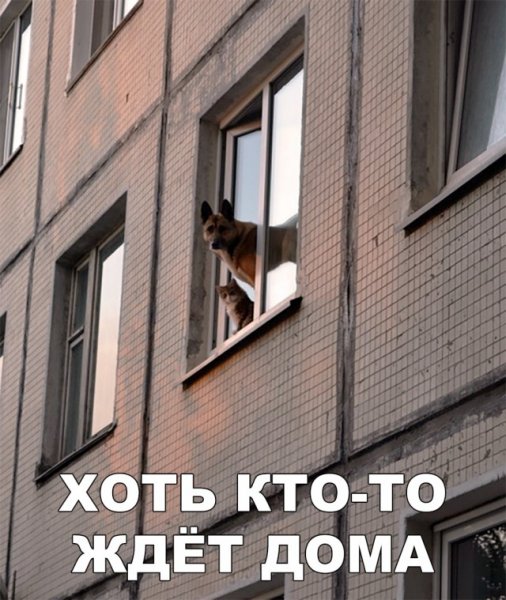Обещал позвонить