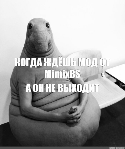 Собака ждет