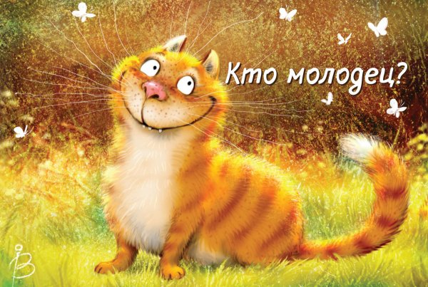 Счастливый кот