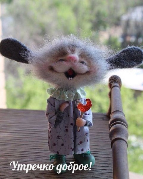 Доброе утро с юмором