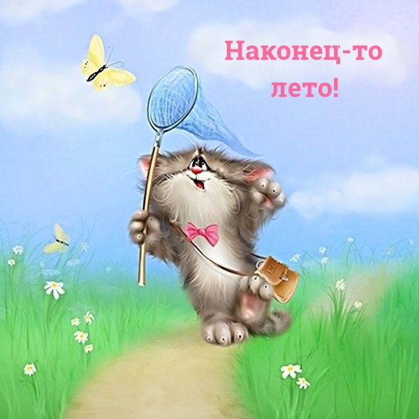 Веселые коты Алексея Долотова