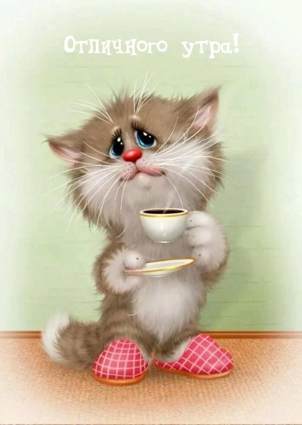 Утро понедельника