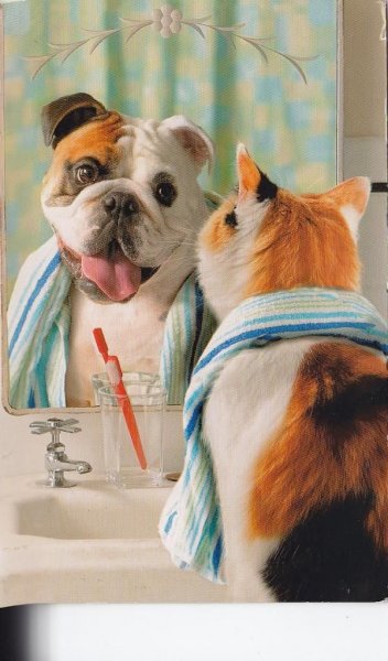 Иллюстратор Кэрин Тейлор.