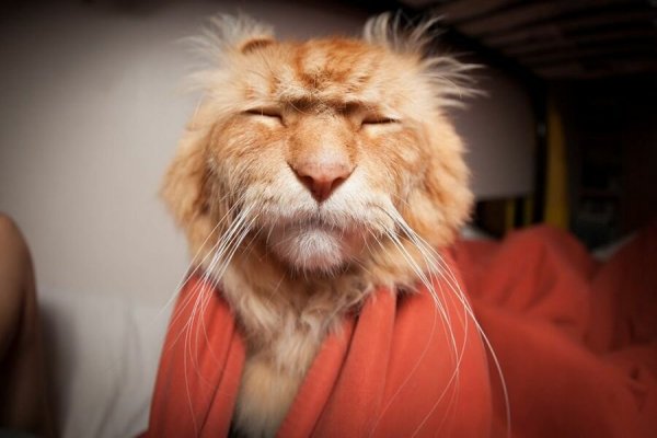 Проснулись с добрым утром