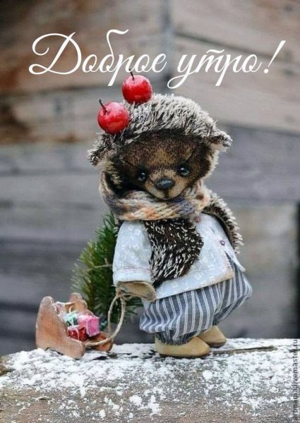 Голубые коты Ирины Зенюк 2019