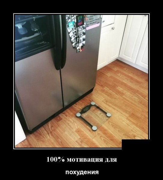 Демотиваторы про похудение смешные